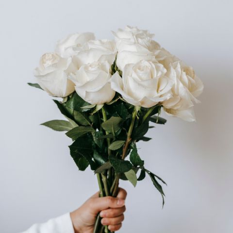 Gift Boxed White Roses